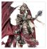 Warhammer Age of Sigmar: Dawnbringers - Cryptborn’s Stormwing