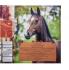 Альбом Panini Самые красивые лошади мира
